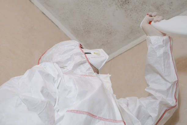 Best Mold Cleaning Services  in Briarcliff, TX